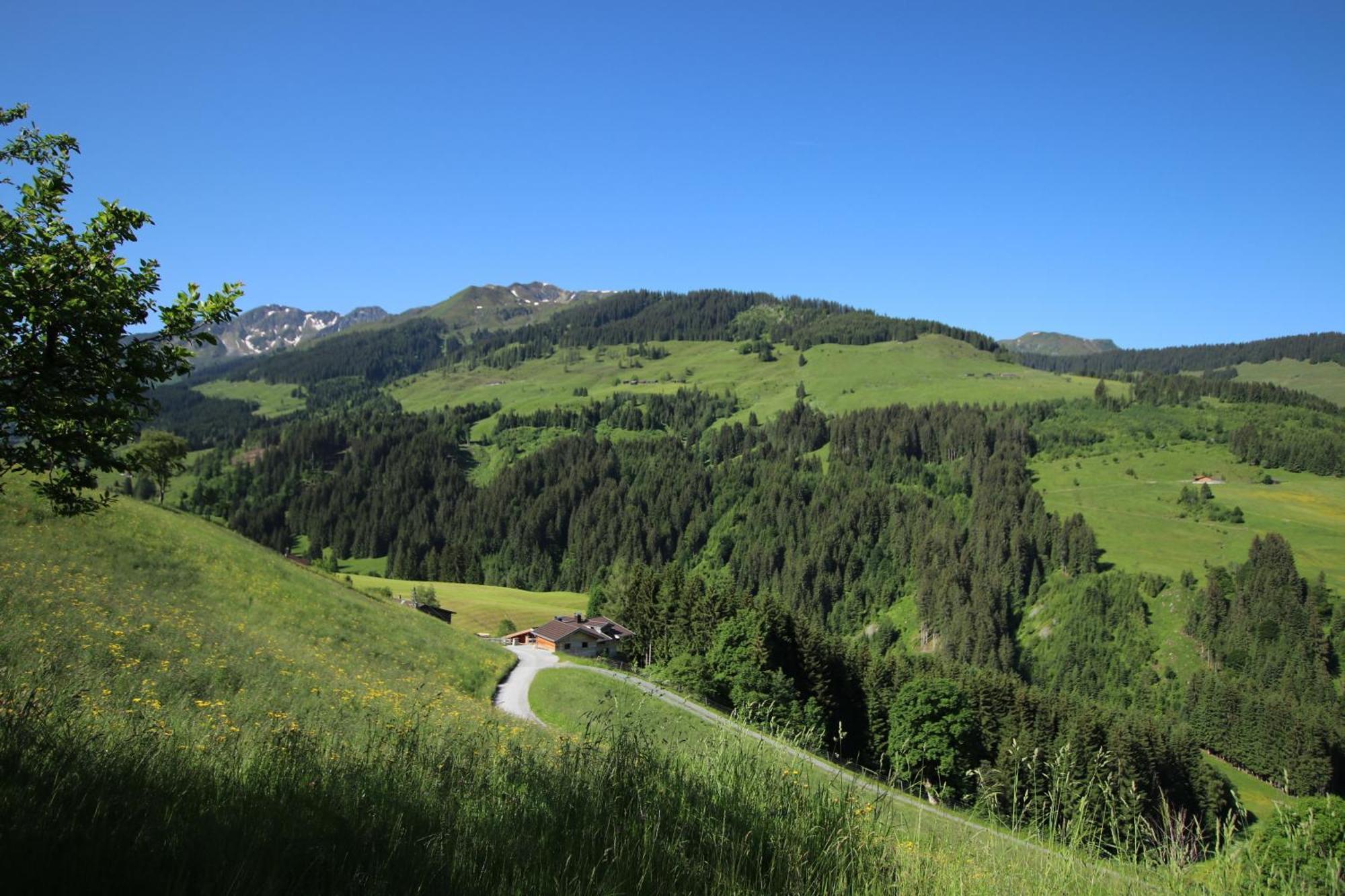 Ferienwohnung Bergpanorama Wild600 Schwarzenau  Kültér fotó